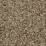 Desert Sandstone